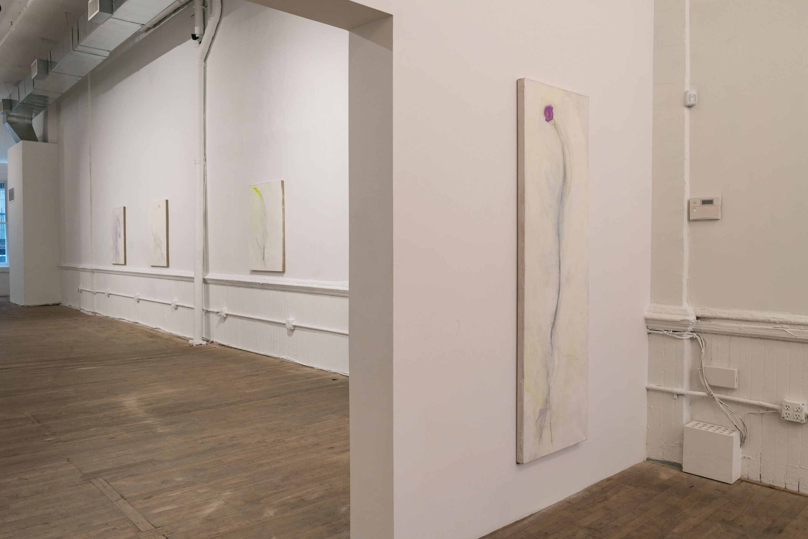 Installation view, Loren Connors: Wildweeds