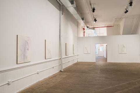 Installation view, Loren Connors: Wildweeds