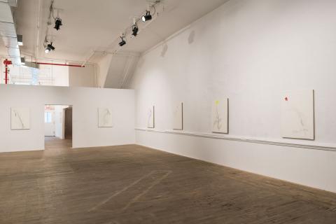 Installation view, Loren Connors: Wildweeds
