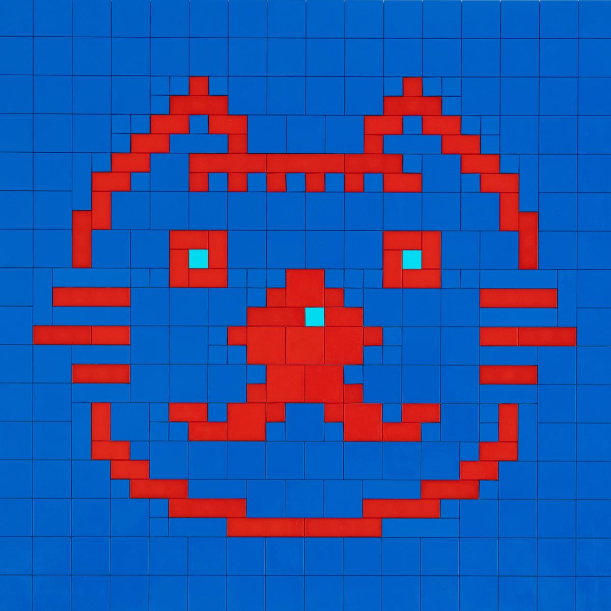 red cat on blue background